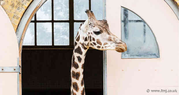 Pareto retains hard FM contract with London and Whipsnade Zoo 