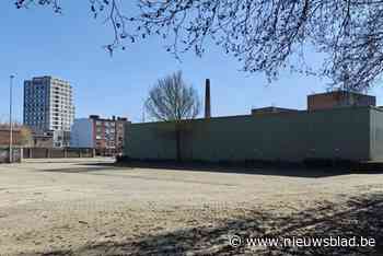 Wie wil iets doen op groot terrein aan Oude Dokken? Stad zoekt tijdelijke invulling voor de buurt