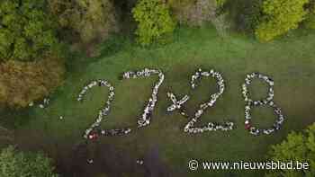 27ste Scouts zetten nieuwe Catalpa Run op langs de mooiste paden van Edegem