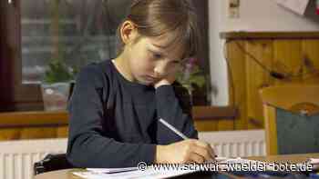 Linke macht Vorstoß in der Bildung: Hausaufgaben abschaffen? Das sagt die Realschule Nagold dazu