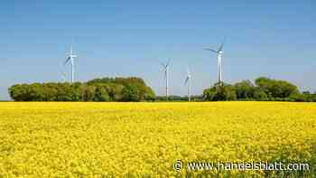 Immobilien: Wie der Traum vom Haus im Grünen wahr werden kann