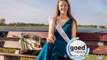 Kaylee is de nieuwe aspergekoningin in Kinrooi: “Veel zin om ons Limburgs goud te promoten”