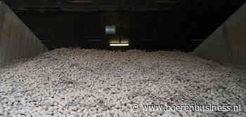 DCA EU-4 Potato Index duikelt verder omlaag