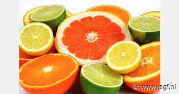 Marokko gaat citrusexport naar EU subsidiëren