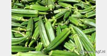 RASFF: Cadmium in bevroren okra uit Bangladesh