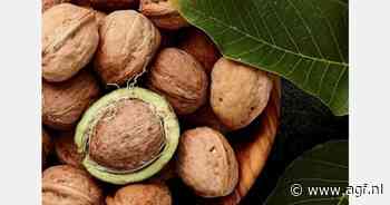 Sterke start walnootoogst in Californië