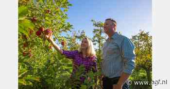 Start afzet biologische appelen van zuidelijk halfrond