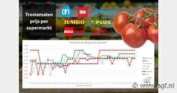 Prijsverschil komkommer blijft klein, prijsverschil trostomaten blijft groot