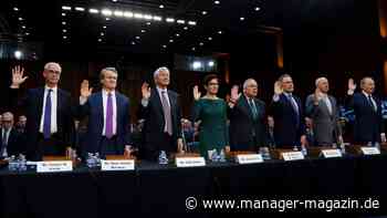 Donald Trump und die Börse: Die Gewinner der Volatilität an den Märkten