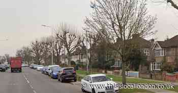 Man arrested and six dogs seized after woman injured in Romford attack