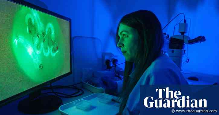 GM mosquitoes: inside the lab breeding six-legged agents in the war on malaria