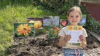 Pflanzwettbewerb: Wer schafft das beste Biotop für den Kürbis