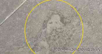 Dad stunned to spot face of Jesus in bathroom tile when stripping off for shower