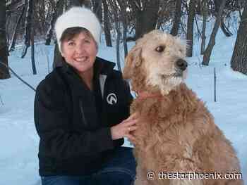 Opinion: Sask. should adopt waitlist law from Manitoba to save lives