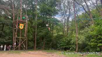 Bosvogels leven zich uit in het bos