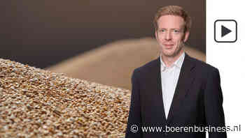 Vertrouwen in tarwemarkt loopt een deuk op