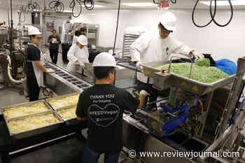 ‘We cover lifespan of services’: New Catholic Charities CEO talks goals, volunteerism