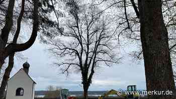 Ein Park zum 150. Geburtstag