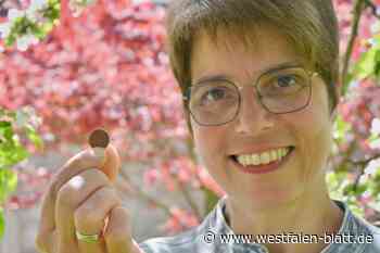 Mit Omas Glückspfennig zur Million?