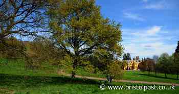 Council could charge for 'exciting activities' at Bristol's parks