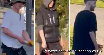 Brawl involving knife breaks out at Bournemouth Pier