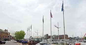 Plans to replace flag poles as part of Humber Dock Street improvement works
