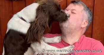 Warning after beloved dog bitten by adder in 'bizarre incident'