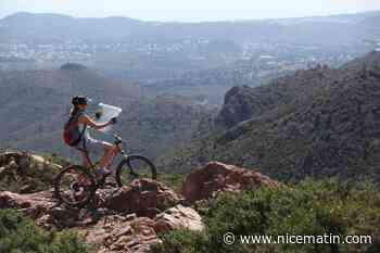 "Une mise sous clé": des usagers inquiets de voir passer l'Estérel en réserve biologique intégrale