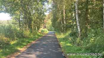 Kom de Pareltjesroute ontdekken in Vorselaar