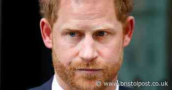 The royals also missing out on full-time security like Prince Harry