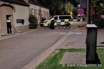 Oekraïner (33) sterft bij steekpartij in Kleine-Brogel: vijf personen meegenomen voor verhoor