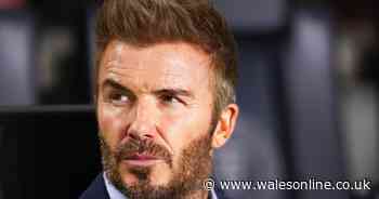 David Beckham 'heartbroken' as PR expert claims family 'can't escape' from public feud