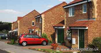 'I want to change my driveway into a garden – neighbour's reaction startled me'