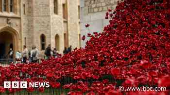 Poppies pour across Tower of London to mark VE Day