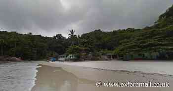 Man in 30s dies after falling from coconut tree