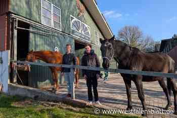 Mit dem Pferd zu sich finden