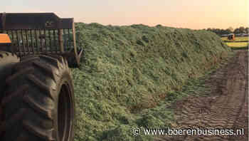 Boeren zijn druk met voer, maar niet om te kopen