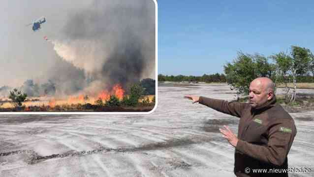Vier jaar geleden verwoestte grote brand 600 hectare natuur op Groot Schietveld, maar dat heeft ook positieve gevolgen: “Wij beseffen nu dat Defensie hier een taak heeft en Defensie weet nu wat voor waardevolle natuur hier ligt”