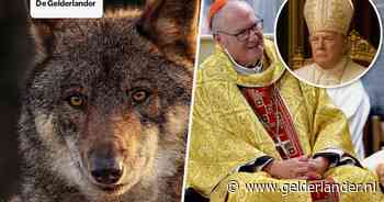 Nieuws van de dag | Kardinaal die door Trump wordt gesteund, haalt uit • Versneld besluit in Europa over jagen op de wolf