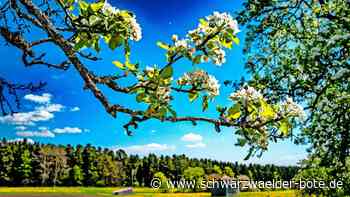 Tourismus im Teinachtal: Der Corona-Schock ist längst verwunden
