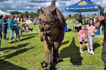 Family business ‘heartbroken’ after dinosaurs stolen from car park