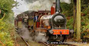 A 'world's oldest' attraction 20 minutes outside Newcastle to offer visitors historic opportunity