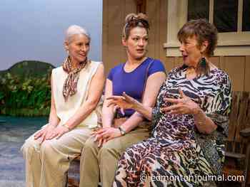 Review: Shadow Theatre's Where You Are hilarious, heartfelt