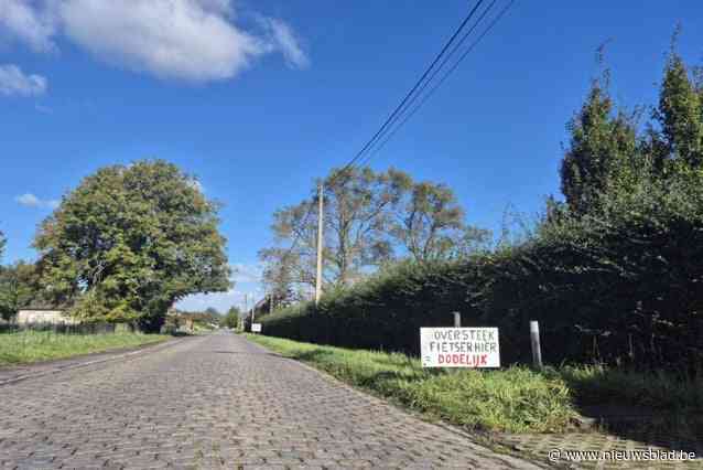 Bewoners blijven zich verzetten tegen plannen heraanleg Neringenstraat: “Staan met onze rug tegen de muur”