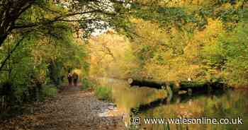 Woodland walk with a fairytale castle and a cafe that nails the perfect toastie