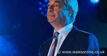 Eluned Morgan's brutal takedown of Reform UK