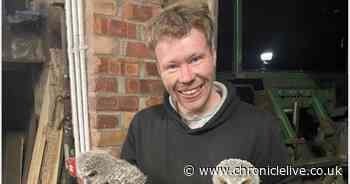 Sycamore Gap accused says outcry over 'just a tree' was 'almost as if someone had been murdered'