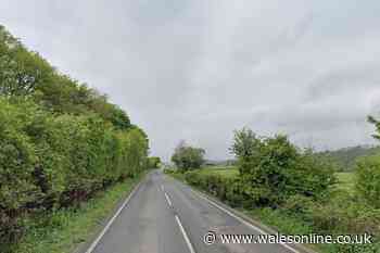 Police appeal after man and woman halt traffic during 'altercation'