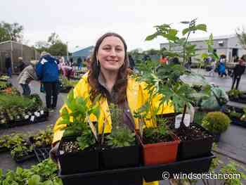 Green thumb crowds line up hours ahead of Windsor's annual plant sale