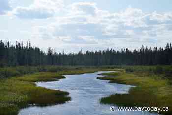 Critics slam Ontario for proposal to create zones where projects are exempt from laws